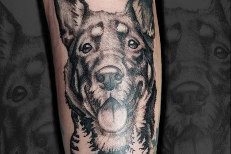 hunde-tattoo-von-veronica-titelbild