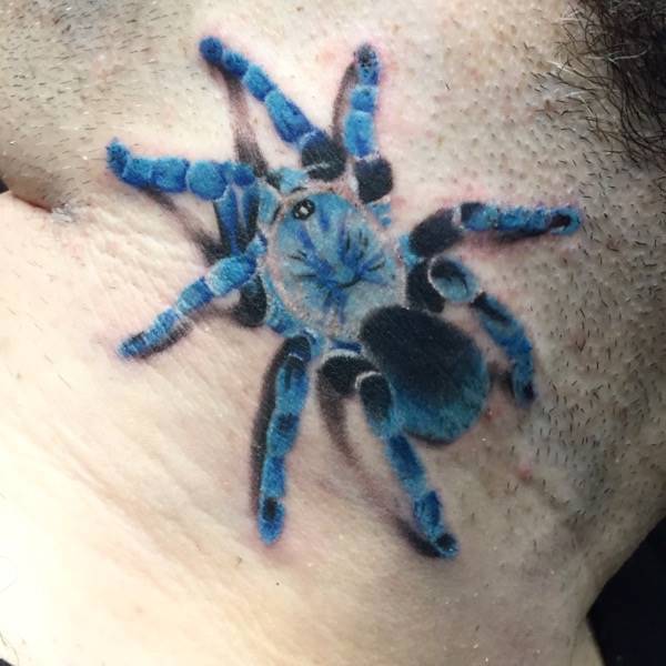 Tarantula