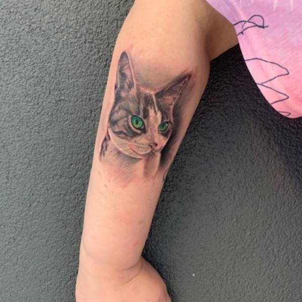 lovley cat