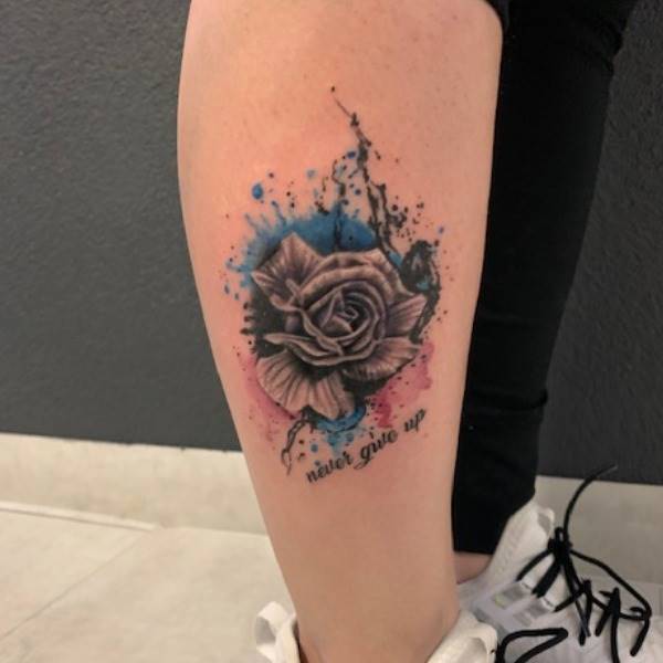 splash rose