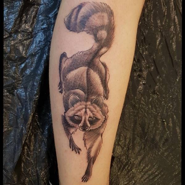 Waschbär