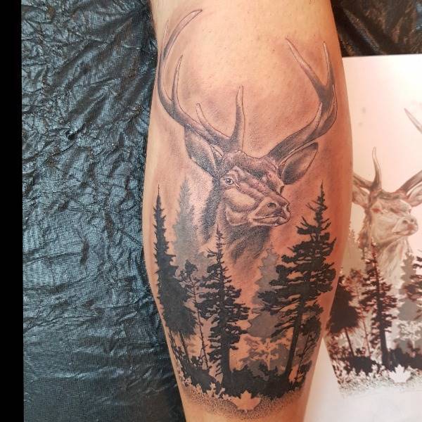 Hirsch