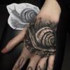 Snail