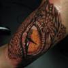 Dragon eye