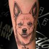 Dog