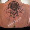 Rose/Mandala