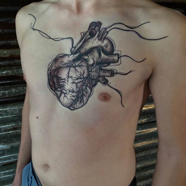 Anatomic Heart