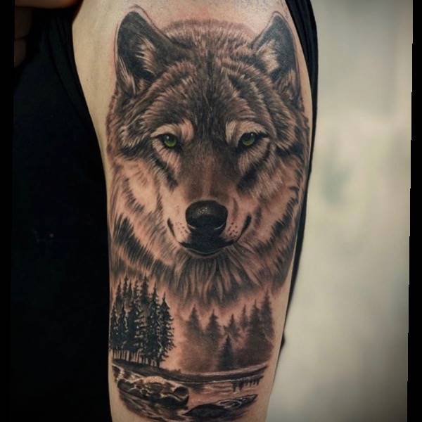 Wolf