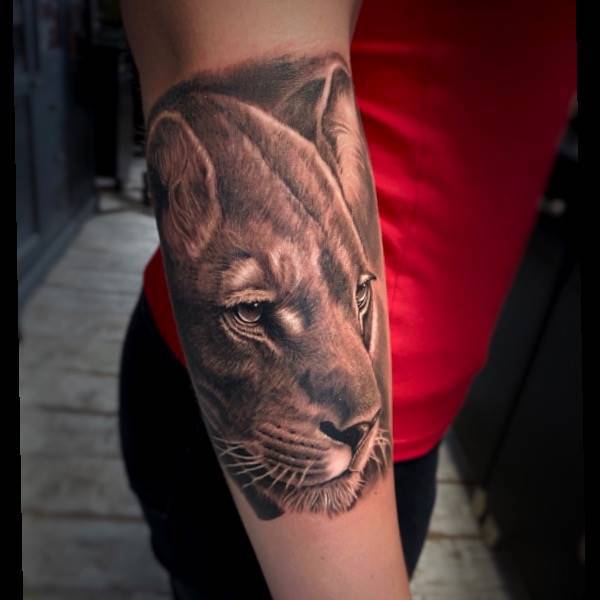 Realistic Lion