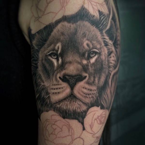 Lion and roses