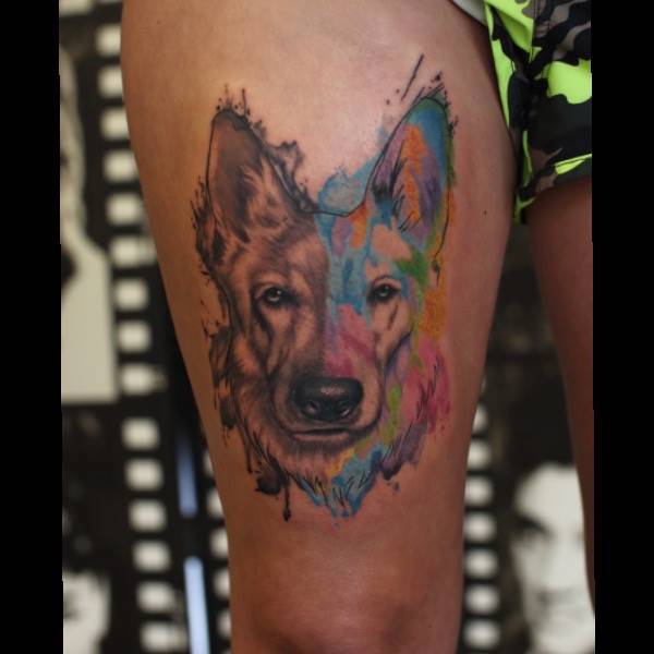 Water color dog
