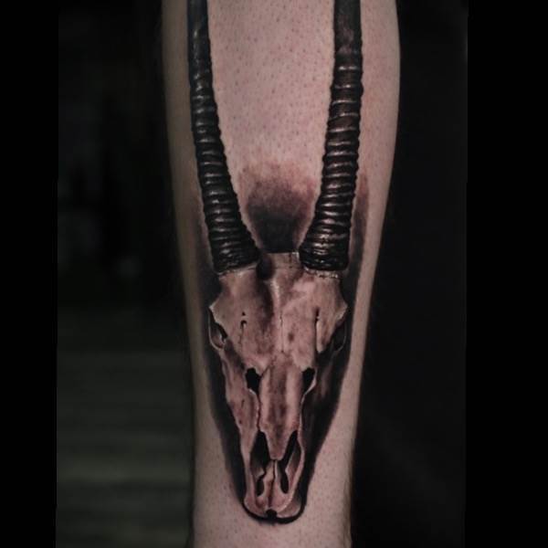 Oryx Skull