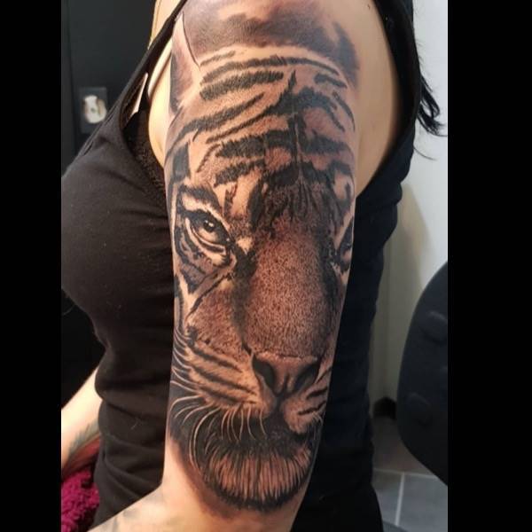 Realistic Tiger