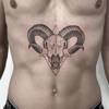 Aries skull