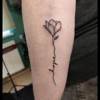 Schrift, Blume, Hoffnung
