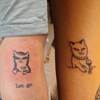 Katzen
