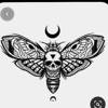 Moth