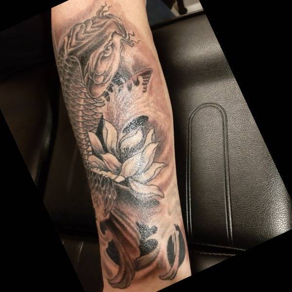 Koi