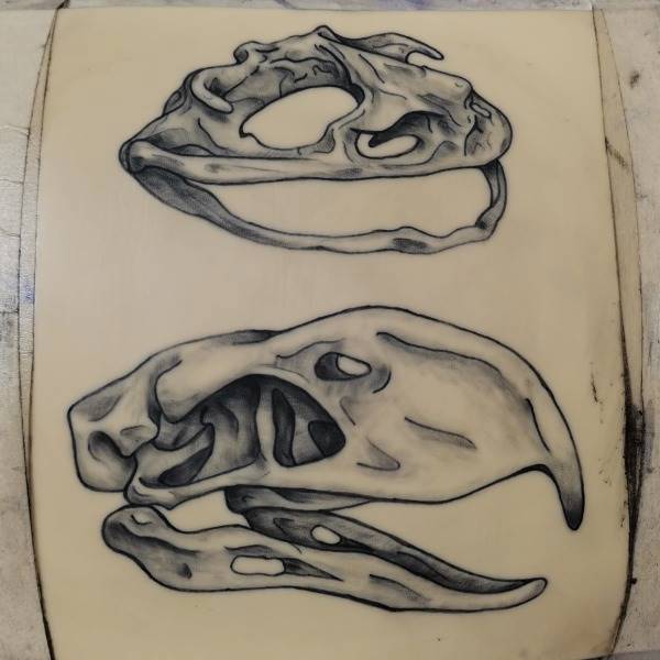 Skull practice on fake skin
