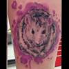 Ratte Franky