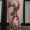 Wolpertinger