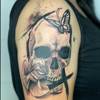 Skull