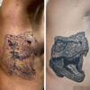 T-Rex Cover up