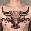 Texas Longhorn